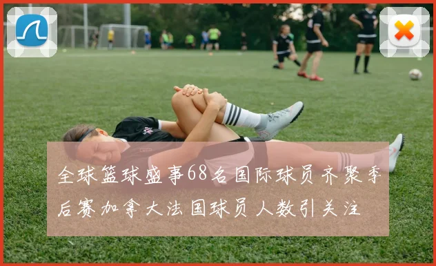 全球篮球盛事68名国际球员齐聚季后赛加拿大法国球员人数引关注